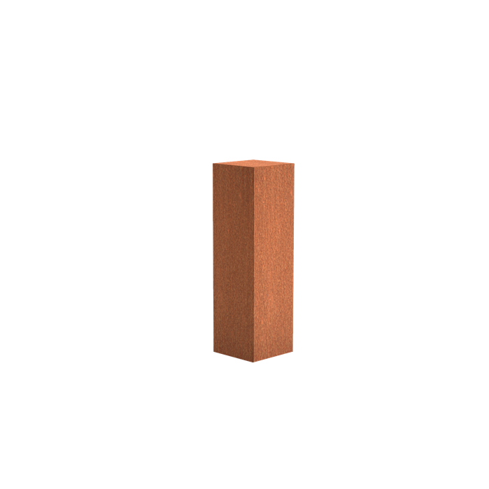 CK10 (300 x 300 x 1000)