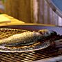 Rejilla desechable para Shichirin MEDIUM redonda (10 unidades) YAKINIKU