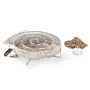 Barbecook Generador de humo
