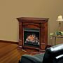 Dimplex Campana Eco Optiflame