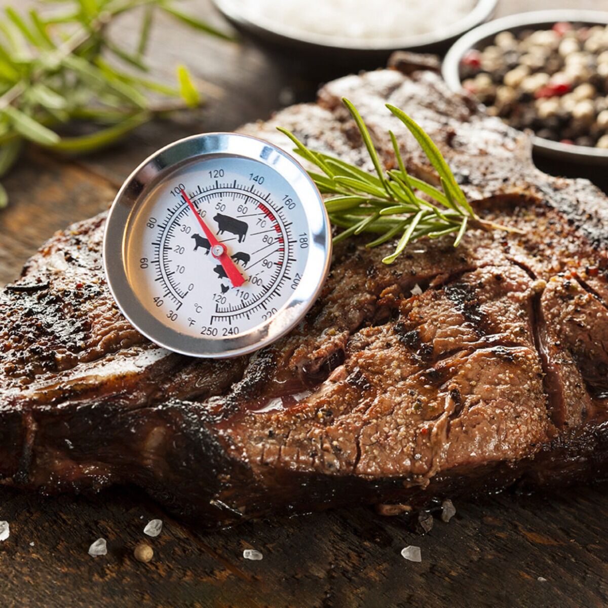 Esschert Termómetro para carne