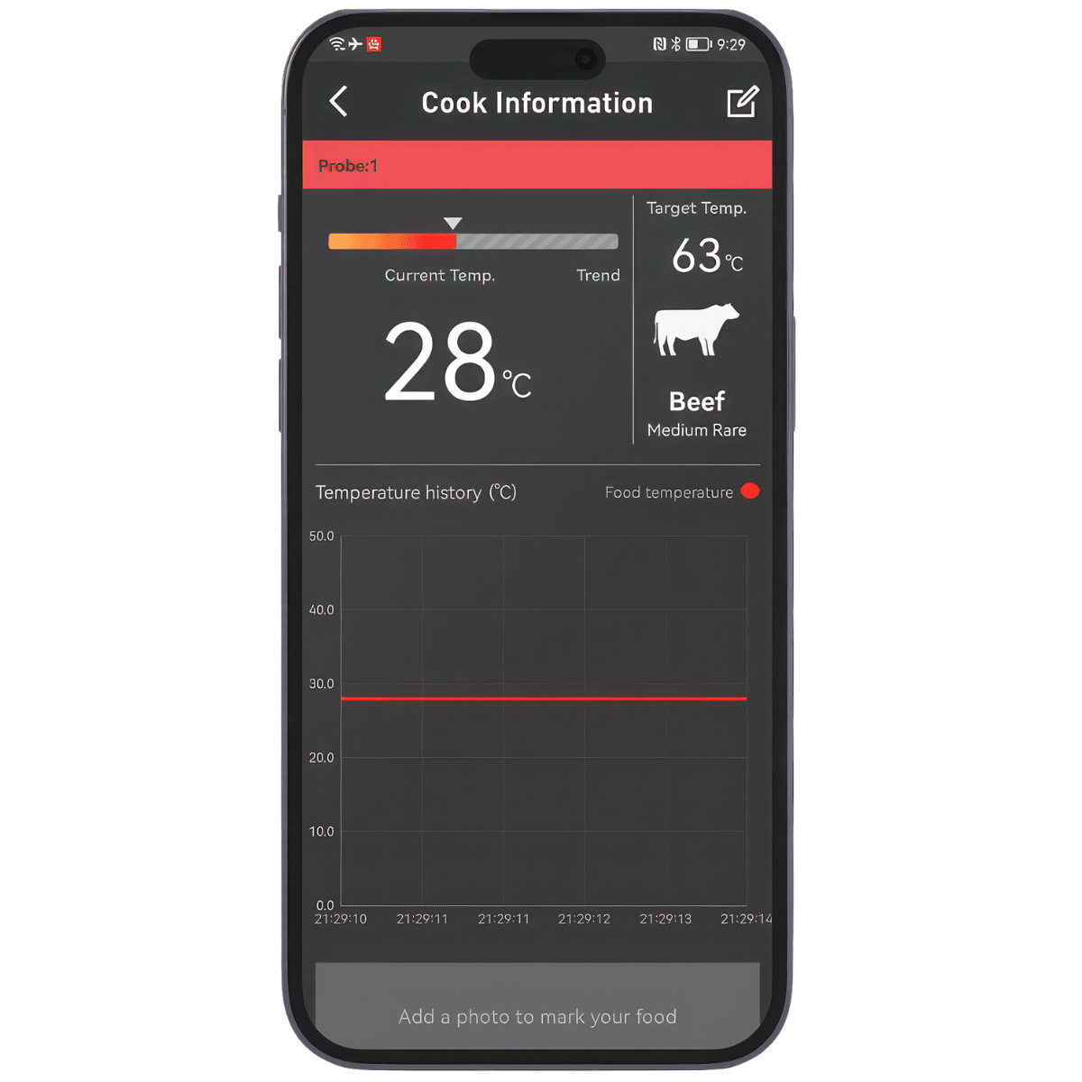 Termómetro EasyBBQ HerQs