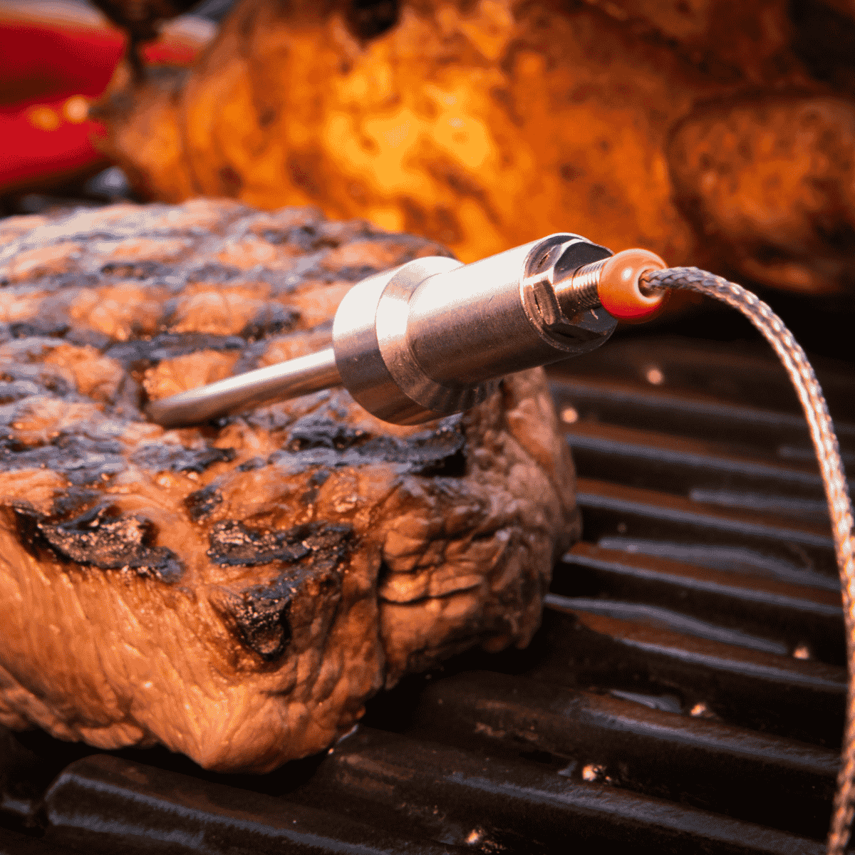 Sondas para termómetro (2 unidades) HerQs