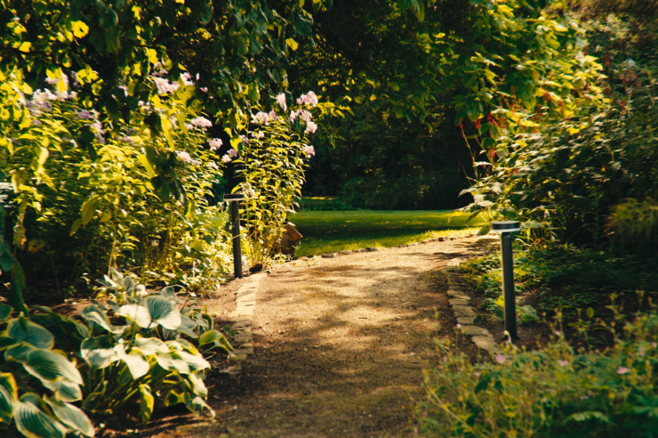 Prepara tu jardín para la primavera
